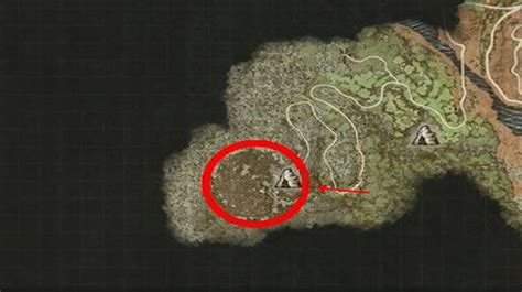 Sigurd not at Dragonsbreath Tower :: Dragon's Dogma 2 General .
